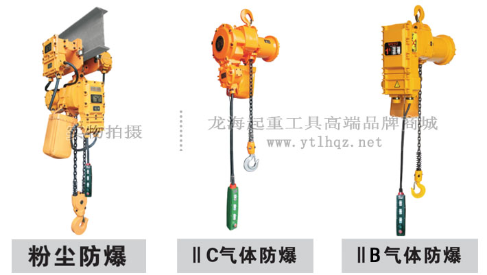 粉塵\氣體防爆電動(dòng)葫蘆示意圖