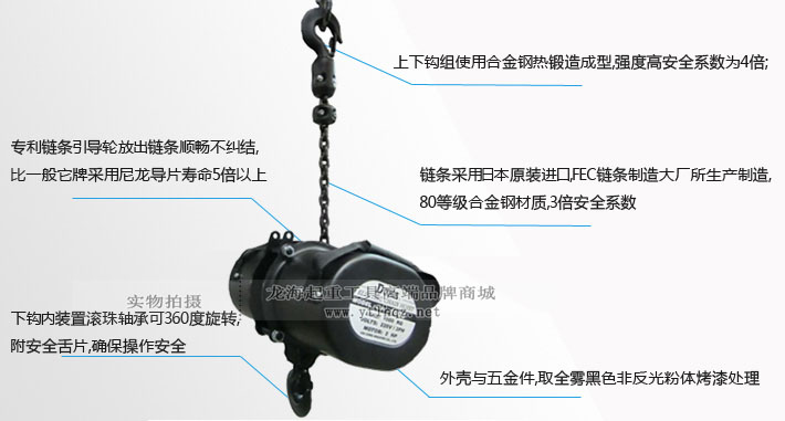 臺(tái)灣DUKE舞臺(tái)倒掛環(huán)鏈電動(dòng)葫蘆細(xì)節(jié)圖