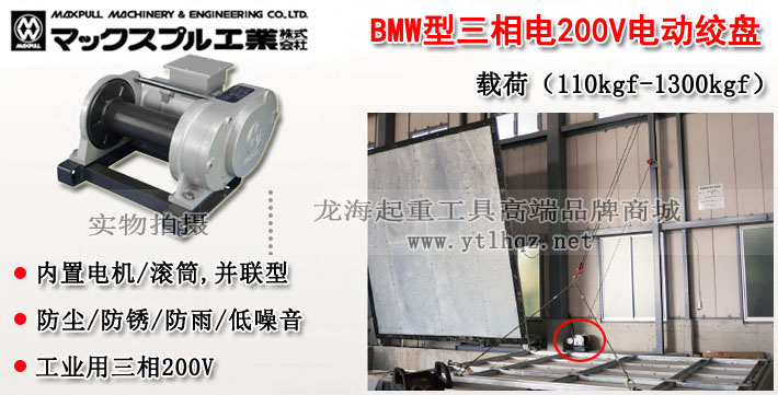 BMW型MAXPULL電動絞盤圖片