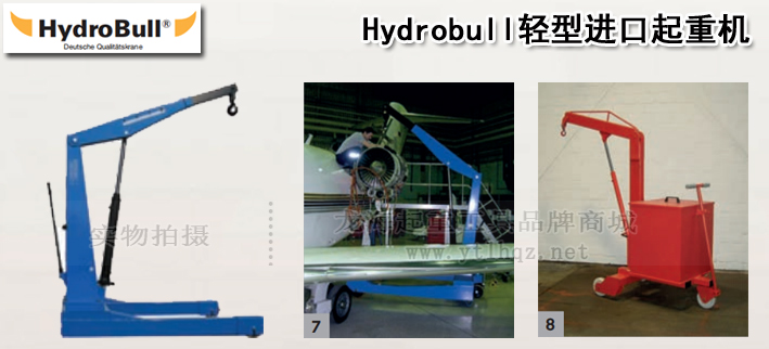 Hydrobull輕型進(jìn)口起重機(jī)